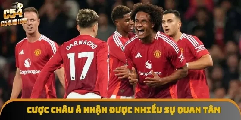 Cược châu Á nhận được nhiều sự quan tâm